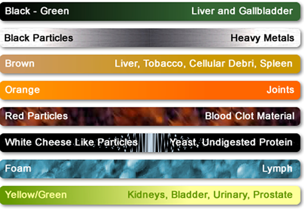 Session chart represented by colors.