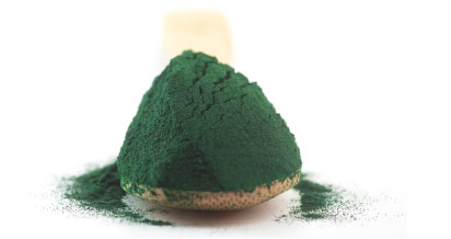 Chlorella Powder in Wooden Spoon