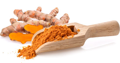 Turmeric Root and Turmeric Root Powder in Wooden Scoop